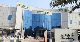 أعمال الأمن والسلامه لمبنى وزارة العمل والتنميه الاجتماعيه وعمل الصيانه السنويه أكثر من عشرة اعوام