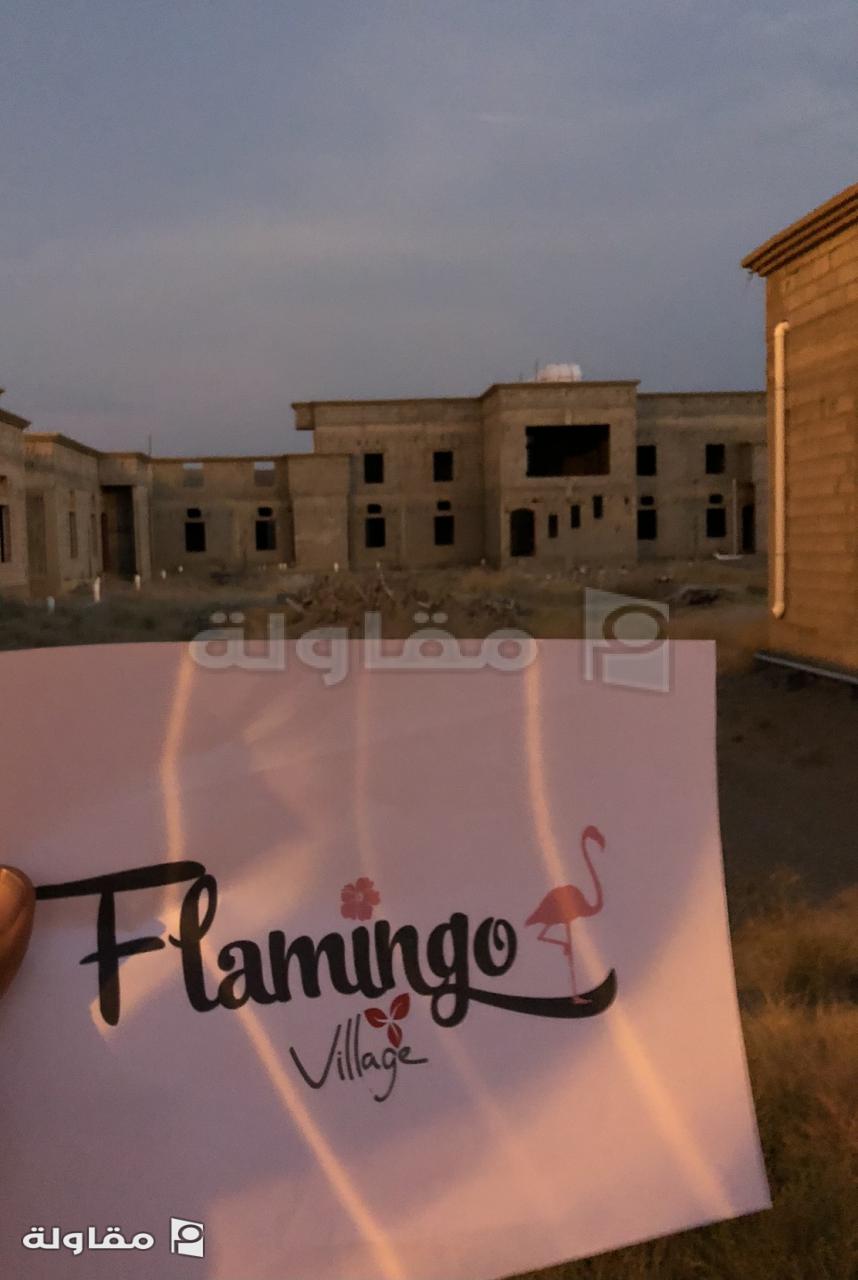 منتجع الفلامنجو تنفيذ المشروع قبل 5 سنوات
