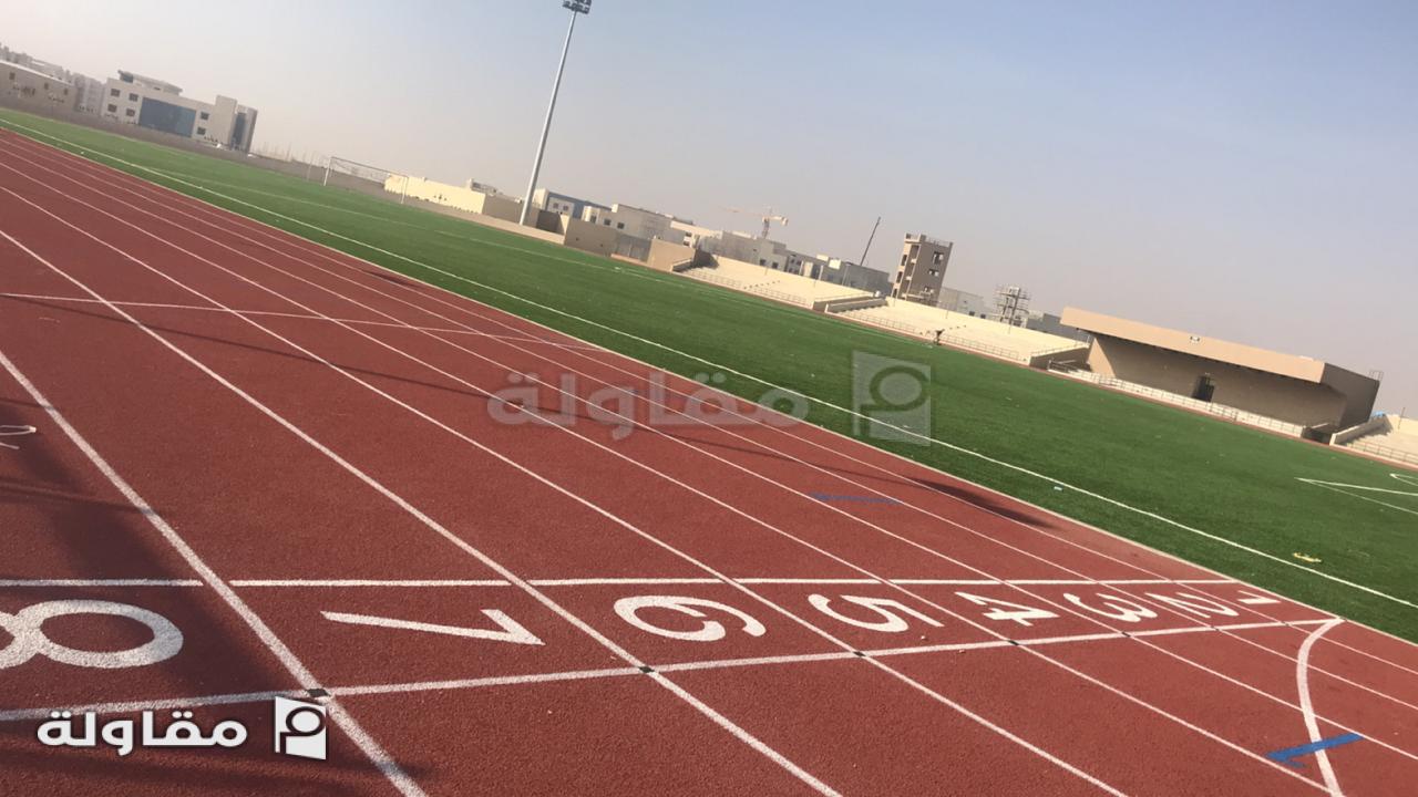 <p>22ملاعب رياضية عشب صناعى 1</p>