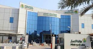 أعمال الأمن والسلامه لمبنى وزارة العمل والتنميه الاجتماعيه وعمل الصيانه السنويه أكثر من عشرة اعوام