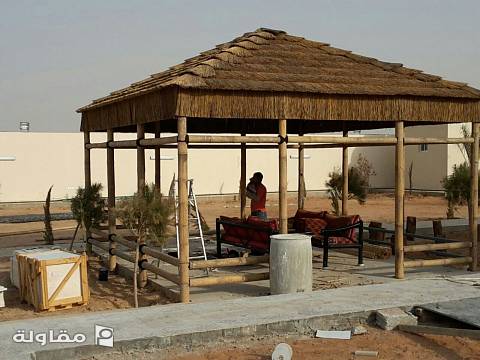عرائش البامبو الافريقي