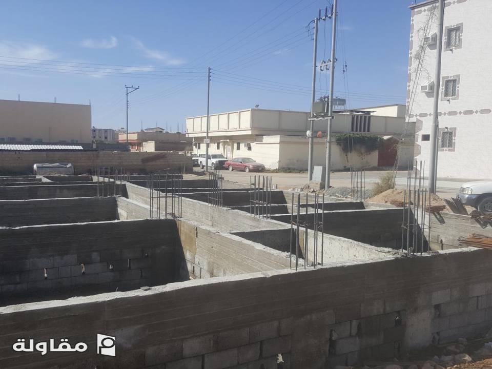 فلتين