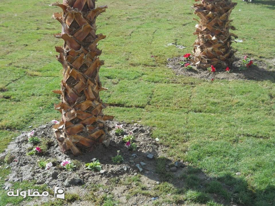 من أعمال شركة اوطان للمقاولات العامة